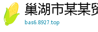 巢湖市某某贸易维修网点